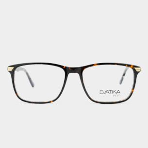 copy of EV YC22054 C4